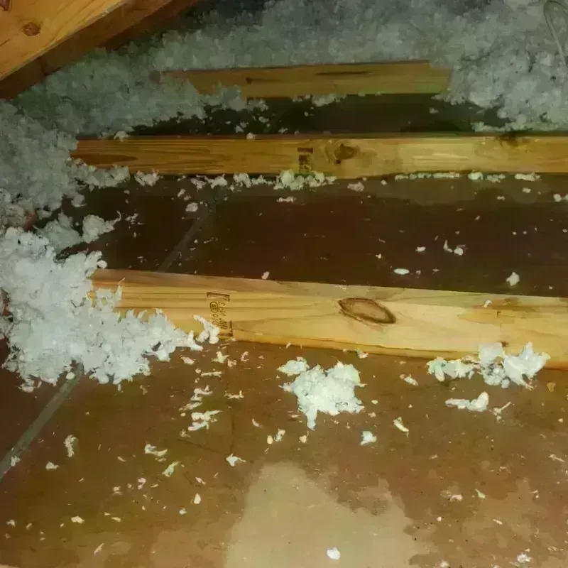 Attic Water Damage in Progreso, TX